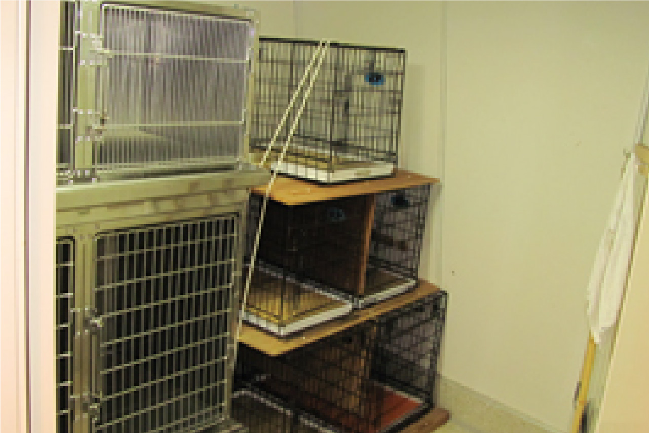 Pet Cage Area