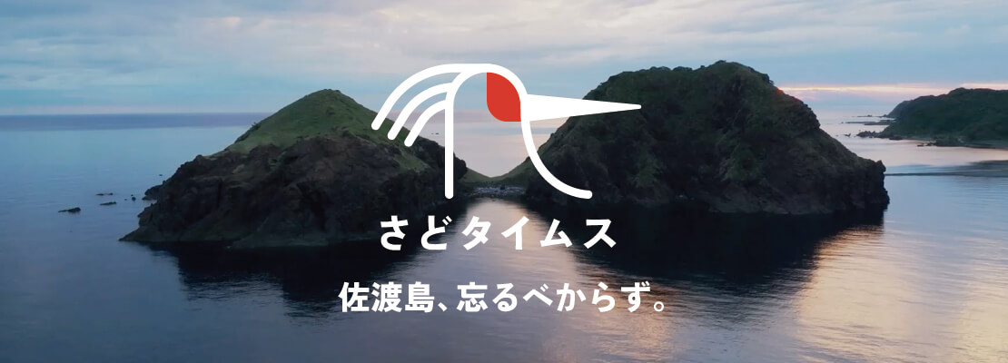 さどタイムスバナー