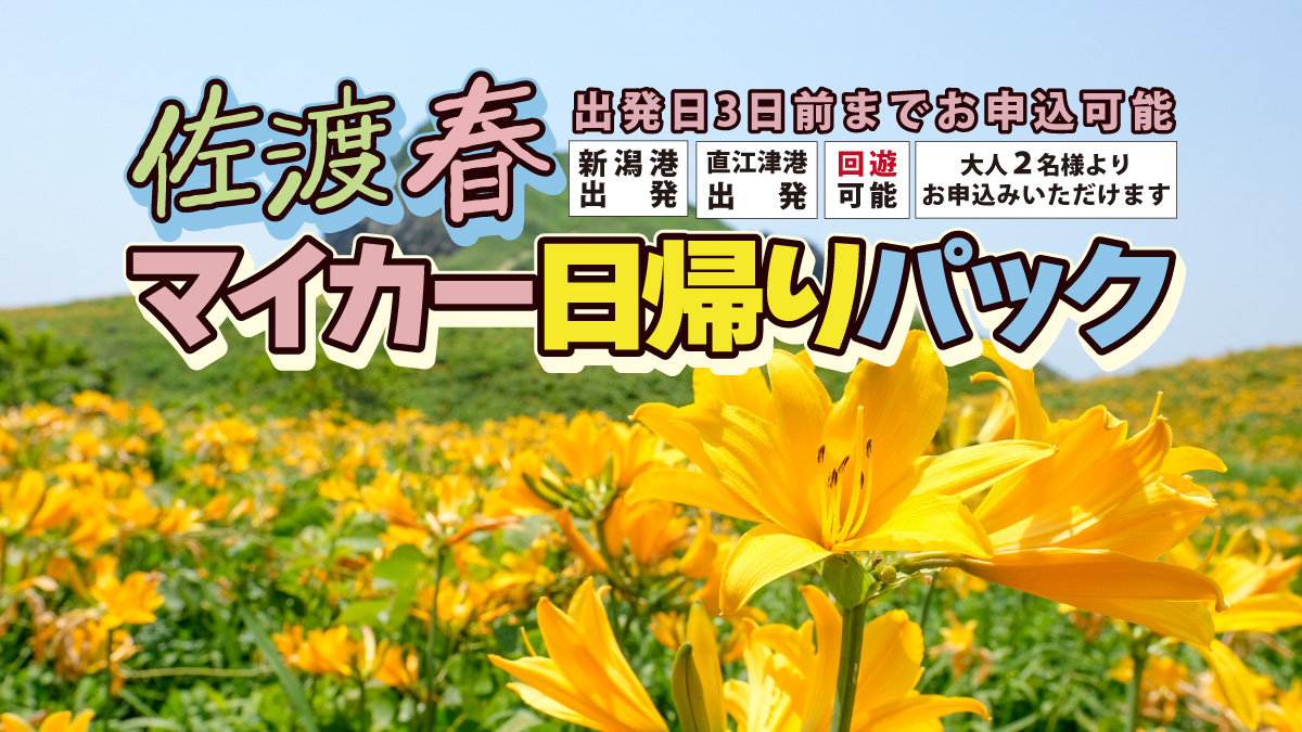 2026年春／マイカーで気軽に佐渡旅行！ 2026年度春期間「佐渡マイカー日帰りパック」発売
