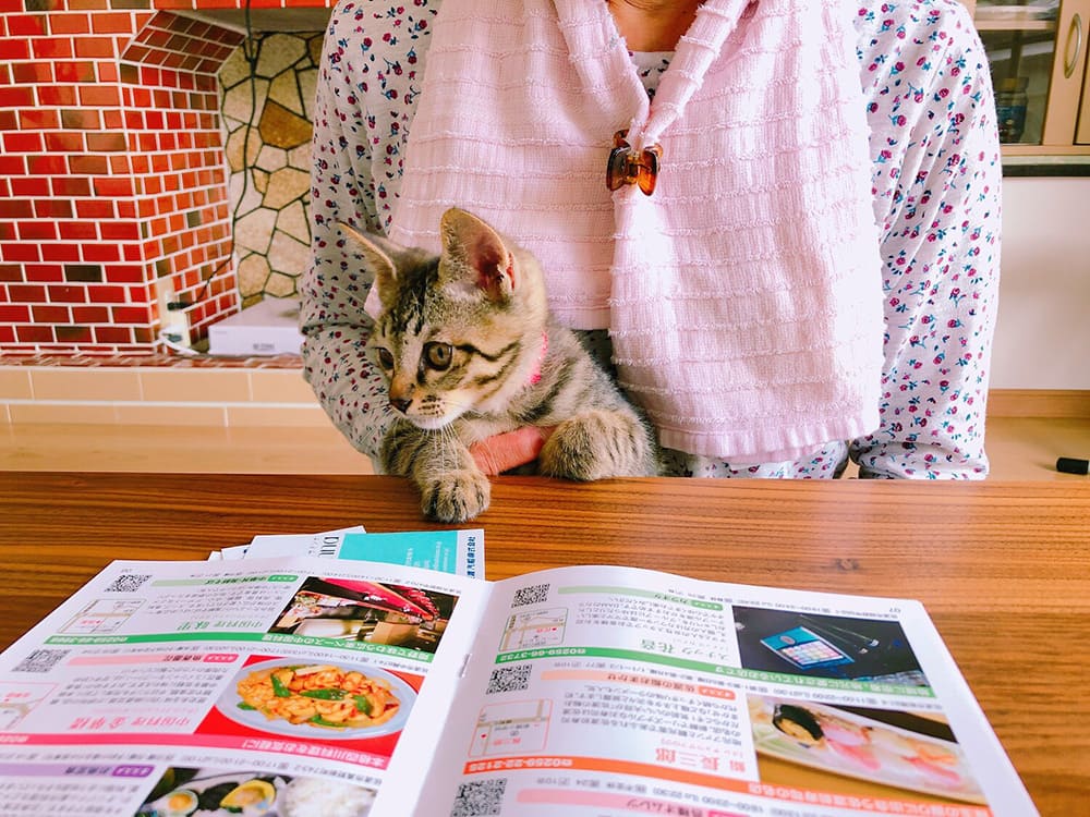 オーナーさんと猫