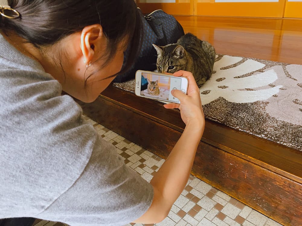 猫の写真を撮る様子