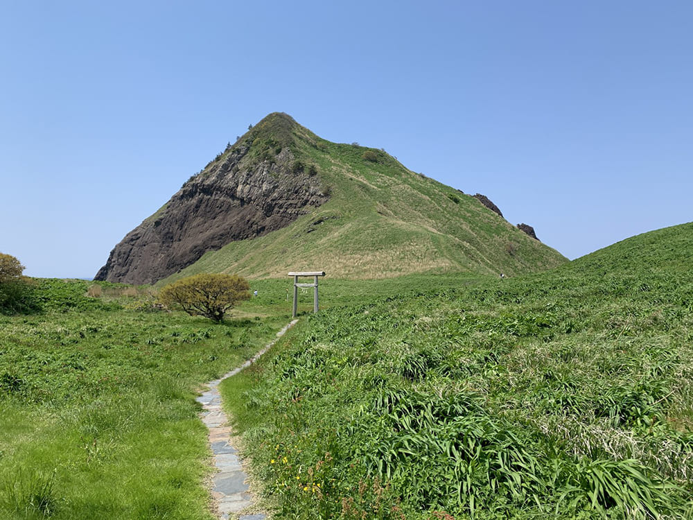 大野亀