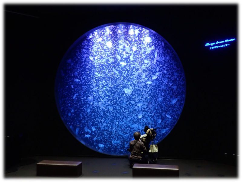 東北エプソンアクアリウムかもすい